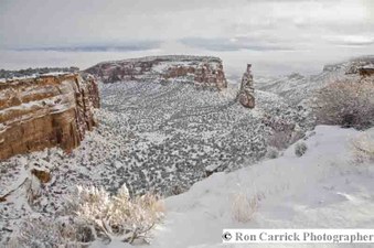Enlarge photo 159