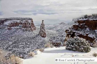 Enlarge photo 157