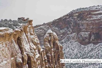 Enlarge photo 155