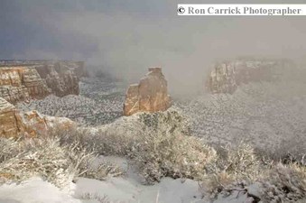 Enlarge photo 154