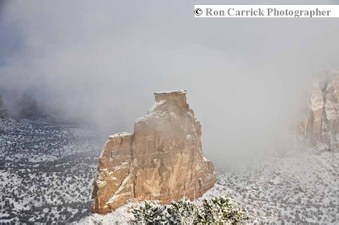 Enlarge photo 153