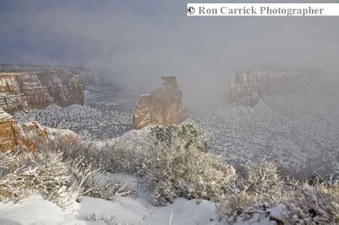 Enlarge photo 152