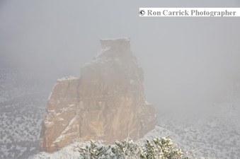 Enlarge photo 151