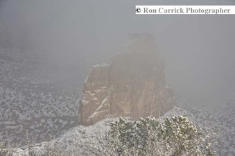 Enlarge photo 148