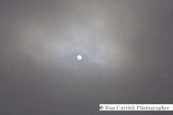 Enlarge photo 146