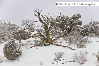 Enlarge photo 144