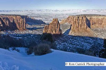 Enlarge photo 141
