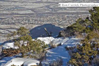 Enlarge photo 137