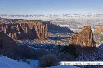 Enlarge photo 135