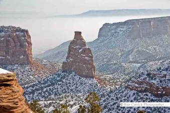 Enlarge photo 35