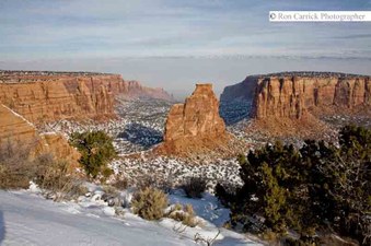 Enlarge photo 44