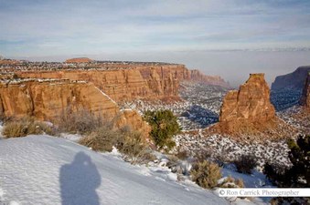 Enlarge photo 51
