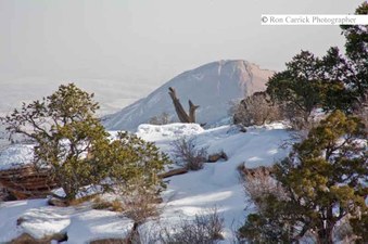 Enlarge photo 53