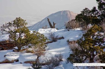 Enlarge photo 54