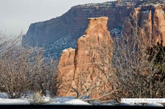 Enlarge photo 57