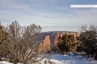Enlarge photo 59