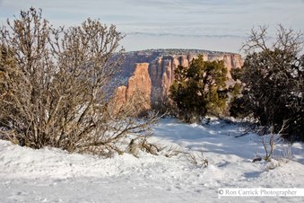 Enlarge photo 60