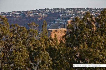 Enlarge photo 62