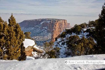 Enlarge photo 63