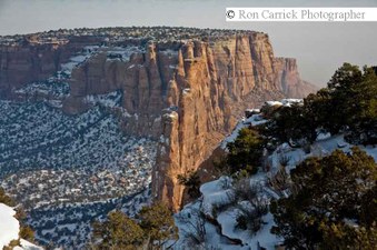Enlarge photo 64