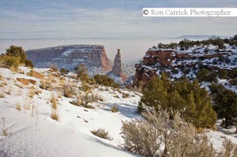 Enlarge photo 70