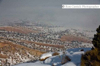 Enlarge photo 72