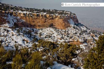 Enlarge photo 73