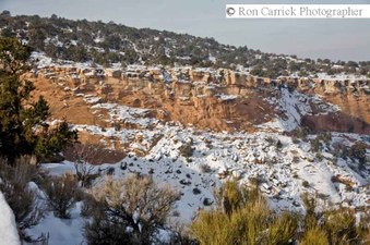 Enlarge photo 74