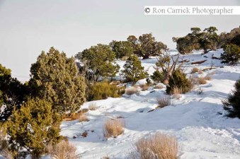 Enlarge photo 75