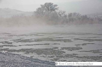 Enlarge photo 78