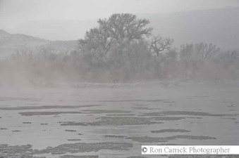 Enlarge photo 80