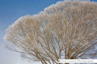 Enlarge photo 91
