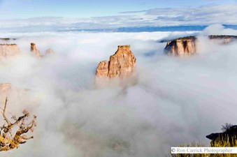 Enlarge photo 25