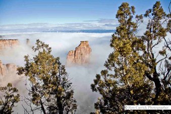 Enlarge photo 26