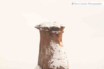 Enlarge photo 128
