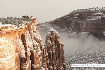 Enlarge photo 127