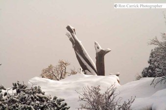 Enlarge photo 124