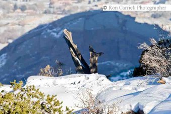 Enlarge photo 118