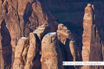 Enlarge photo 108