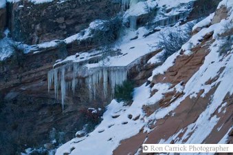 Enlarge photo 95