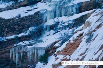 Enlarge photo 94