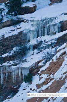 Enlarge photo 93