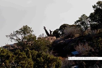 Enlarge photo 30