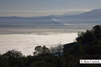 Enlarge photo 184