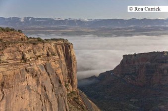 Enlarge photo 183