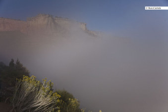 Enlarge photo 182