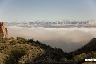 Enlarge photo 181