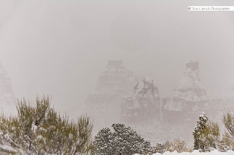 Enlarge photo 168