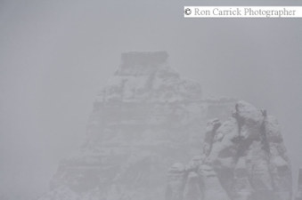 Enlarge photo 169