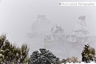 Enlarge photo 170